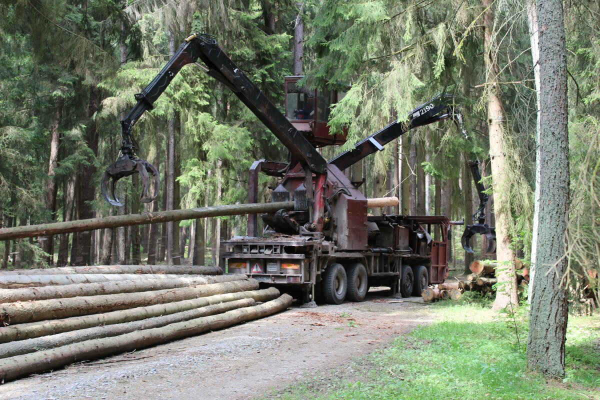 Entrindungsmaschine entrindet Fichtenlangholz an einer Waldstraße