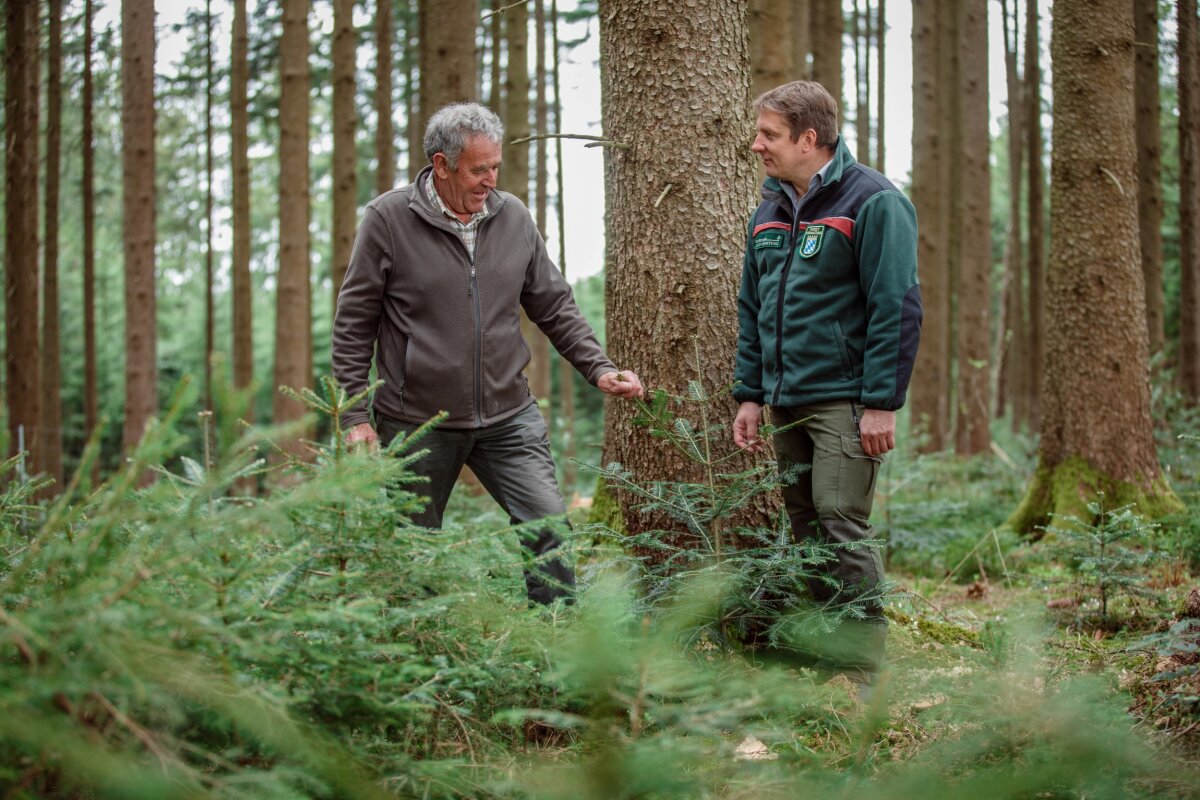 Waldbesitzer im Beratungsgespräch mit einem Forstbeamten im Wald