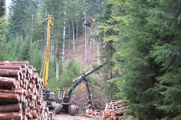 Seilkran und Rückezug auf einer Forststraße