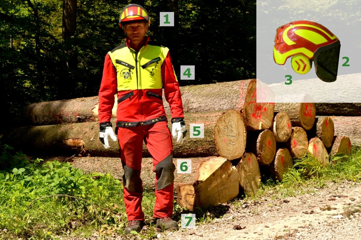 Waldarbeiter vor einem Holzpolter, rechts ist ein Schutzhelm ins Bild eingebettet