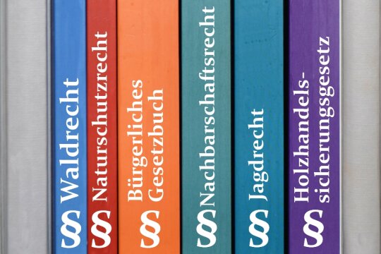 Verschiedene bunte Bücherrücken