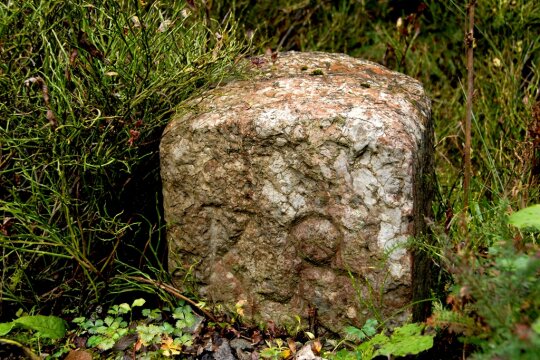 Alter Grenzstein zwischen Sträuchern