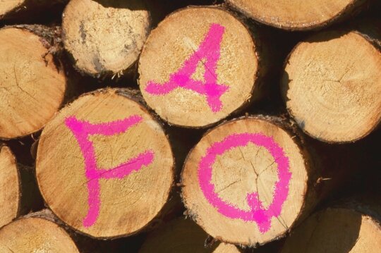 Buchstaben "FAQ" mit pinker Sprühfarbe auf den Stirnseiten von Baumstämmen