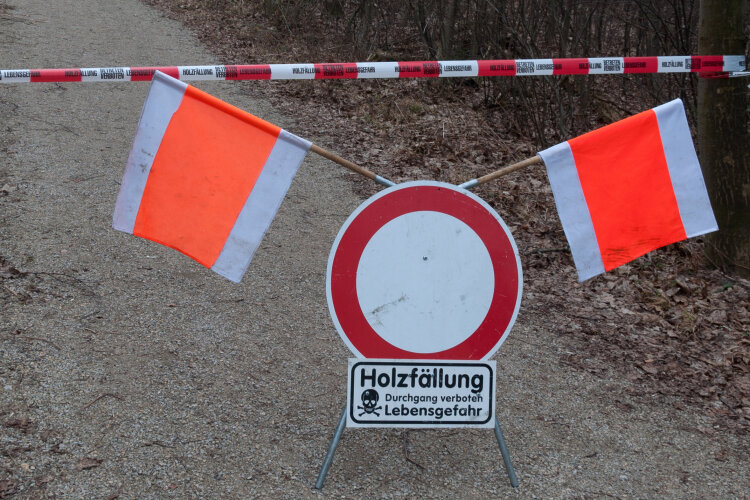 Schild "Holzfällung - Lebensfefahr" mit zwei Fähnchen und Abspref