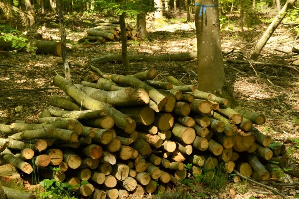 Bitte beachten Sie die Hinweise im Abschnitt "Scheitholz lagern"