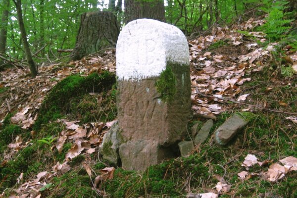 Einfacher alter Grenzstein im Wald