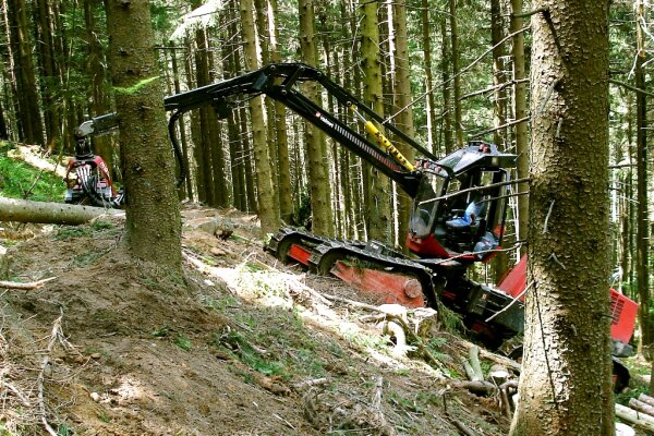 Harvester mit vier Kettenlaufwerken