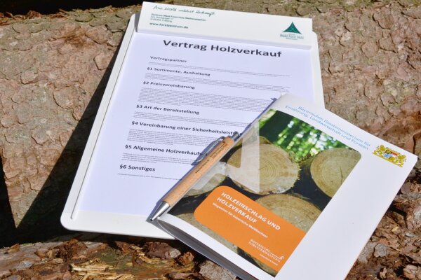 Klembrett mit einem Kaufvetrag für Holz, Kugelschreiber und Broschüre liegen auf Holzstämmen