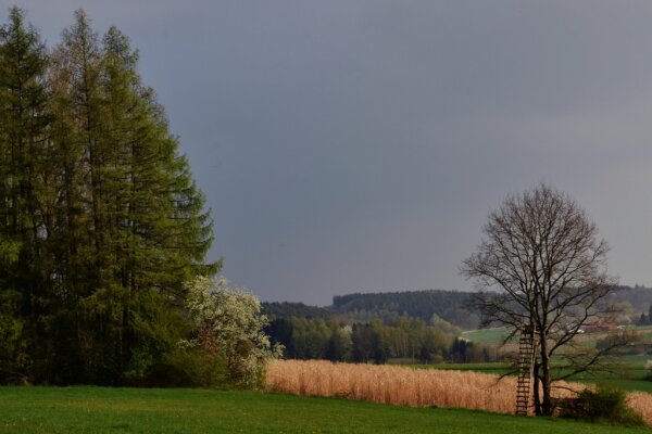 Aufziehende Gewitterwolken über einer Wald-Feld-Landschaft