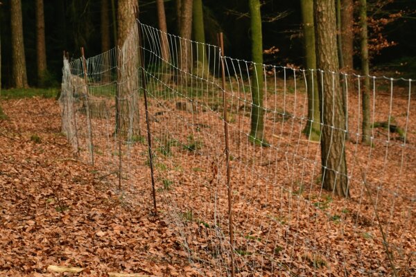 Zaun aus Drahtgeflecht mit Metallstäben