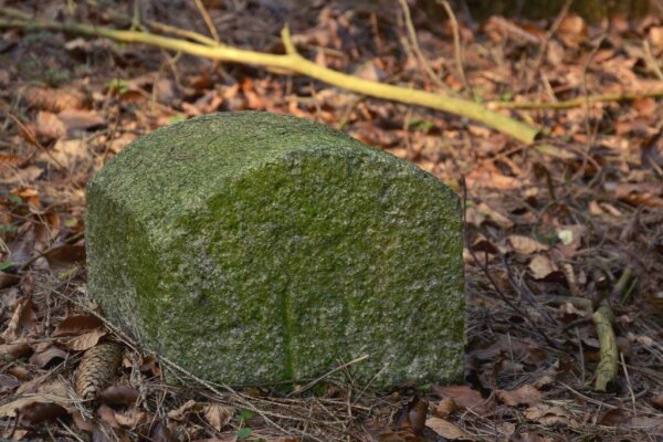 Einfacher Grenzstein im Wald
