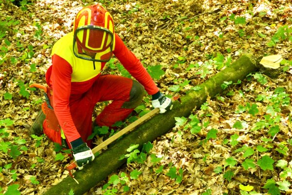 3. Arbeitsschritt: Mit einem Reißmeter werden 1 Meter lange Abschnitte abgemessen