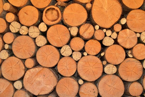 Schichtholz ist auf ein Meter Länge geschnittenes ungespaltenes oder gespaltenes Holz