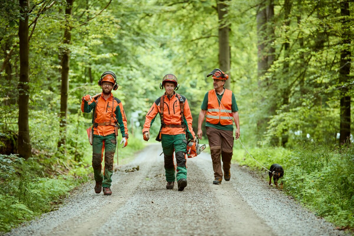 Drei Forstwirte in Schutzkleidung laufen auf einem Waldweg, Motorsäge und Geräte dabei.