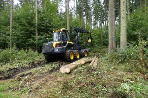 Harvester auf einer Rückegasse bei der Holzernte in einem Bestand mit hoher Naturverjüngung
