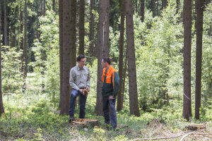 Förster und Forstunternehmer beim Gespräch im Wald