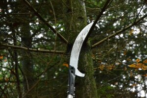 Ein dünner morscher Ast wird mit einer Säge abgesägt