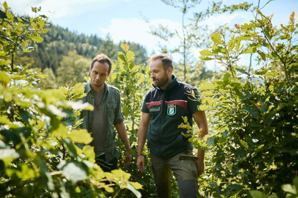 Förster mit Dienstkleidung der Bayerischen Forstverwaltung und Waldbesitzer in einem Bestand mit jungen Bäumen