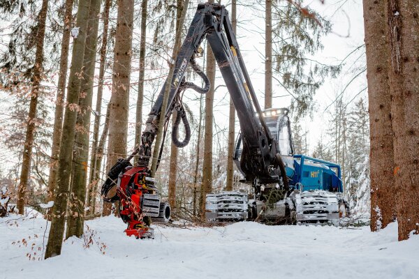 Mechanisierte Holzernte im Winter