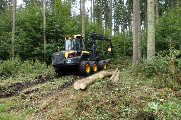 Harvester bei der Holzernte